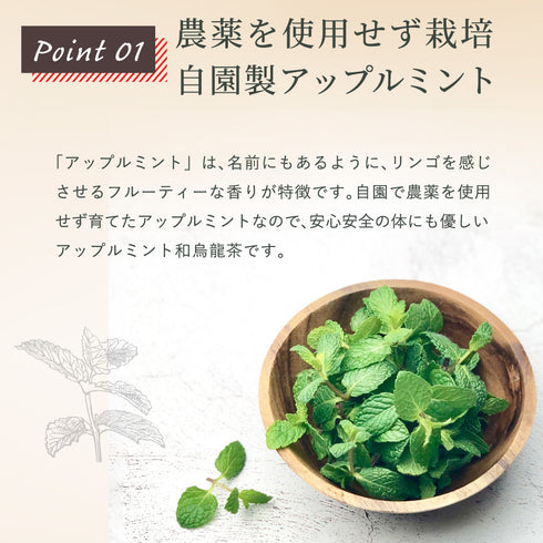 アップルミント×烏龍茶 ティーバッグ 2.5g×35p